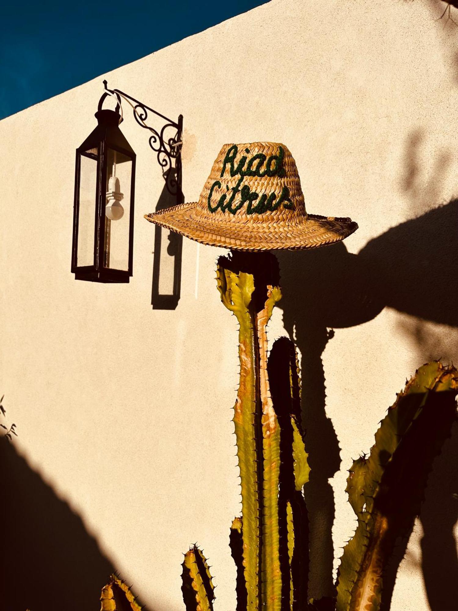 Riad Citrus By La Siredrah Marrakesh Exterior foto